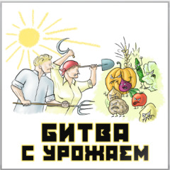 Томат Хлыновский : описание сорта и характеристика, высота Томат Детская радость: характеристика и описание сорта с фото