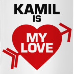 Камиль - моя любовь