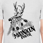  Moonkin Power