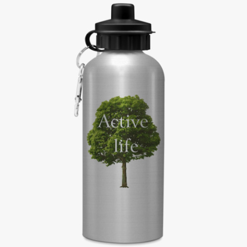 Бутылка с карабином (500 мл) Active life