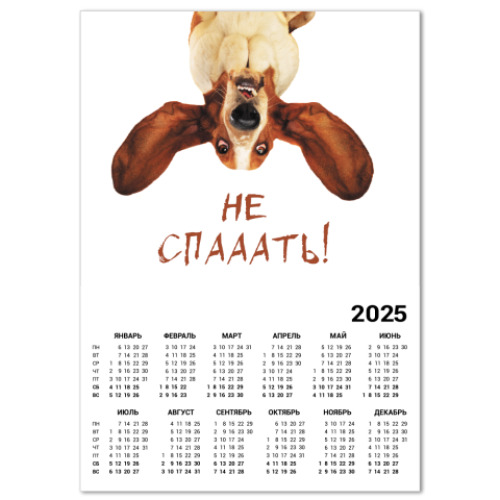 Календарь Собака бодрости