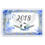 цветы и футбольный мяч 2018