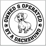 Owned & Operated By Dachshund