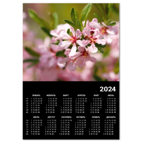Календарь Весенние цветы