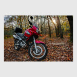 Мотоцикл в осеннем лесу
