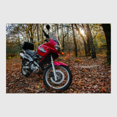 Постер Мотоцикл в осеннем лесу