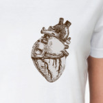 Анатомия-сердце