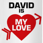 Давид - моя любовь