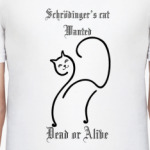 Schrodinger's cat