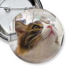 Милый котик