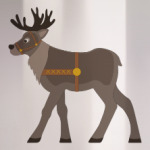 Reindeer
