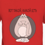 Прикольный кот