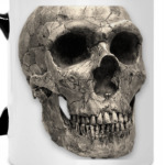 Чаша-череп `Мёртвая голова`