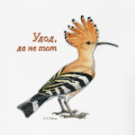 Удод, да не тот