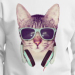 Cool Cat
