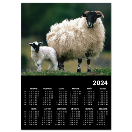 Календарь Горные козлы