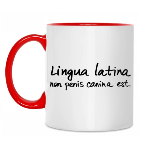 Кружка Lingua latina