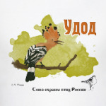 Удод