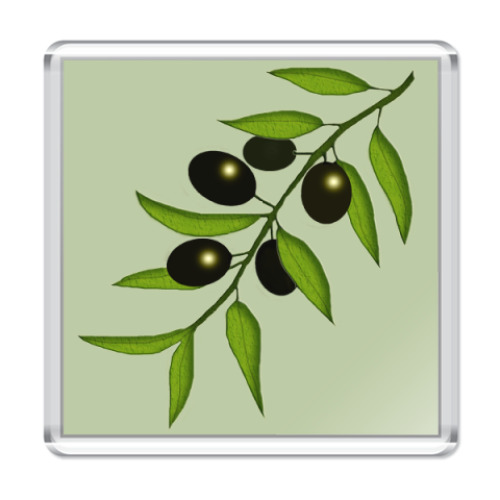 Магнит  Ветка с маслинами