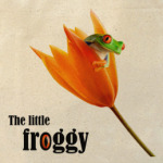 The little froggy