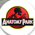 Anatomy Park