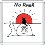  No Rush