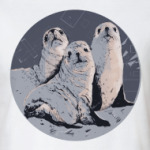 Тюленики