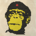 Che Guevara- monkey
