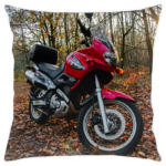 Мотоцикл в осеннем лесу