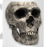 Чаша-череп `Голова Тугарина`