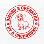 Owned & Operated By Dachshund