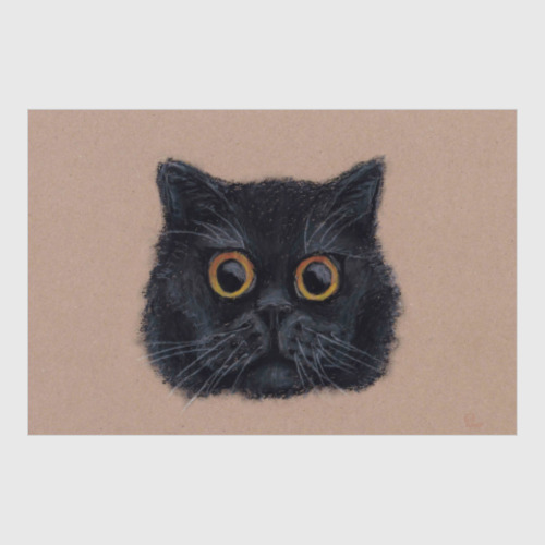 Постер Британский короткошерстный кот по кличке Гипноз