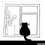 Кот в окне