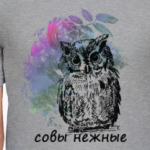 Совы Нежные