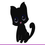 Kitten