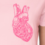 Big Heart Anatomy
