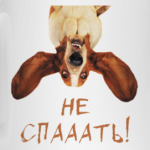 Собака бодрости