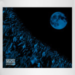MUSE Hysteria
