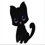 Kitten
