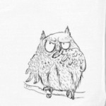 сова, мудрая сова, owl