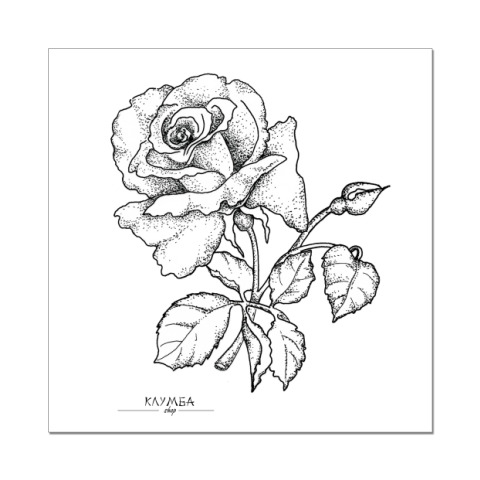 Naklejka Stiker Klumba Kupit Na Printdirect Ru 1444984 23