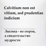 Лысина - не порок