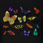 Тропические бабочки
