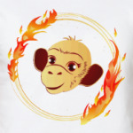Огненная обезьяна