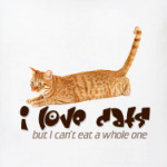 I love cats, but I can't eat..