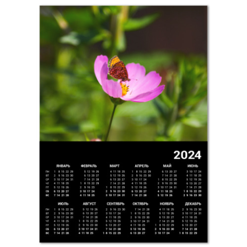 Календарь Садовая ромашка