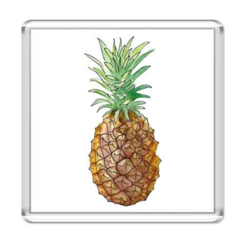 Магнит Pineapple