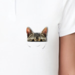 Котик в кармашке