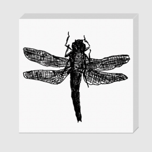 Холст Dragonfly