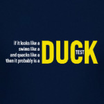 duck test / утиный тест